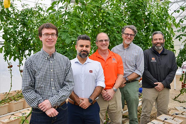 Auburn College researchers reimagine managed setting agriculture