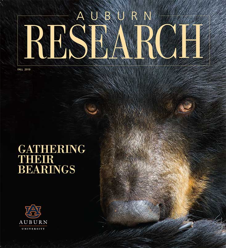 Picture of the Fall 2019 Research Magazine cover with a bear on it.