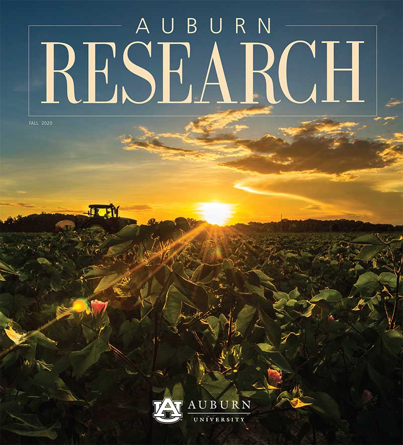 Picture of the Fall 2020 Research Magazine cover.