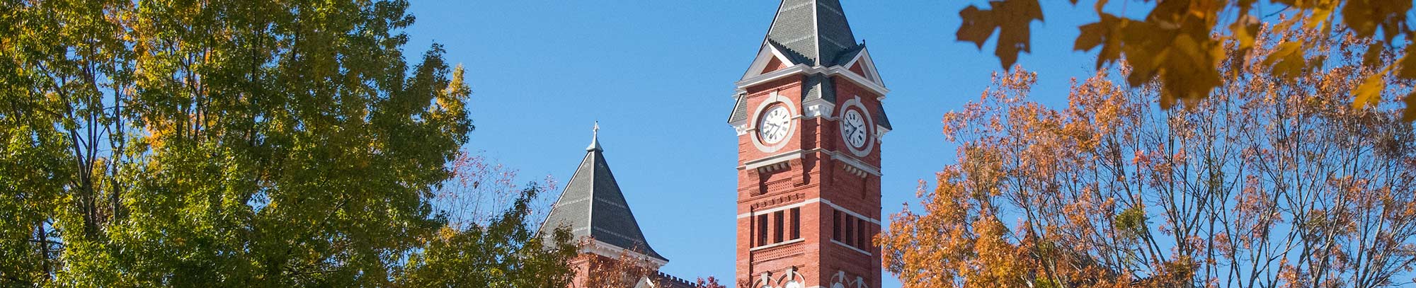 the Samford Hall clocktower is pictured