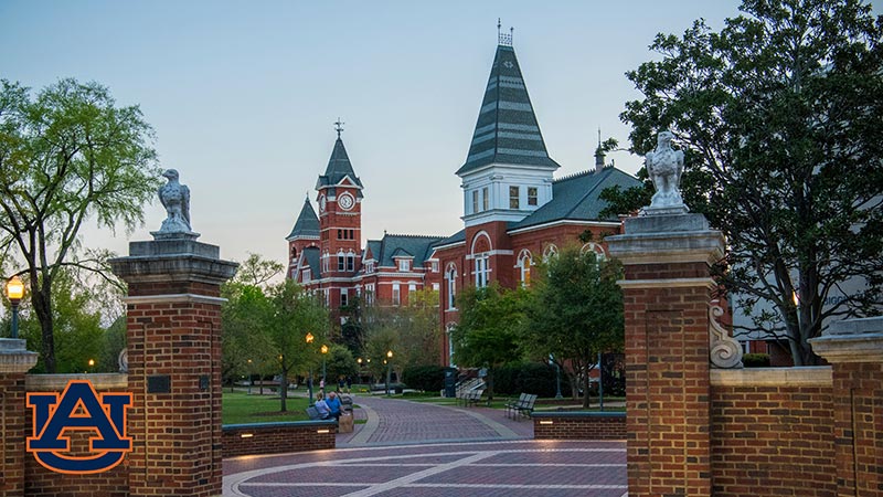 A view of campus from Toomer's Corner