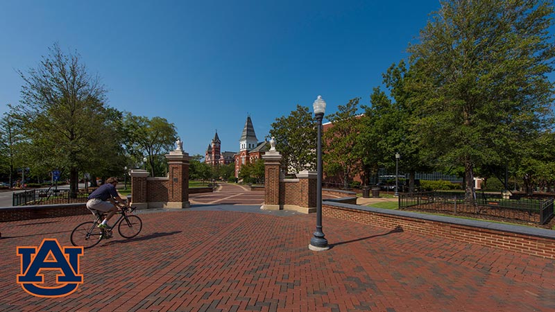 An image of campus from Toomer's Corner