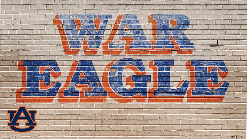 The War Eagle Wall in Downtown Auburn