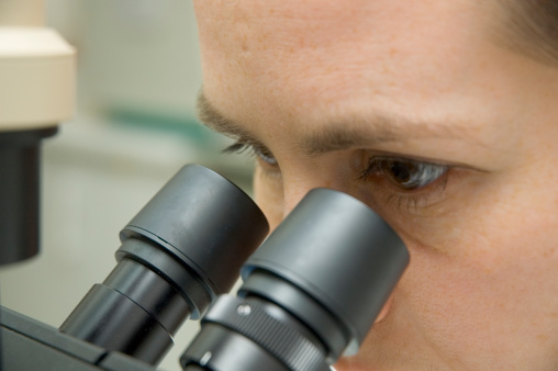 a person looks into a microscope