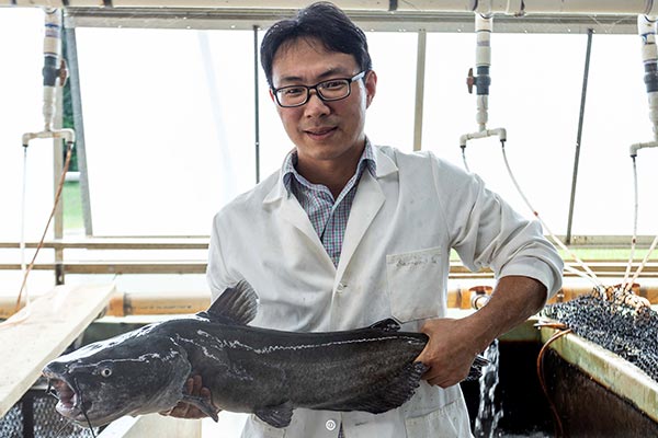 Baofeng Su holds a blue catfish.