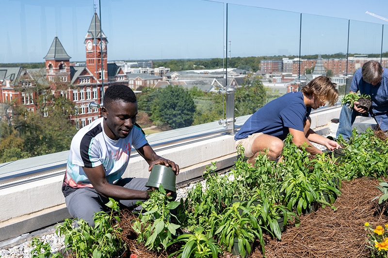 Education opportunities abound from garden on roof of Tony and Libba Rane Culinary Science Center