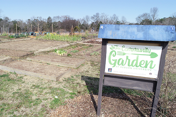 The Community Garden at Auburn University