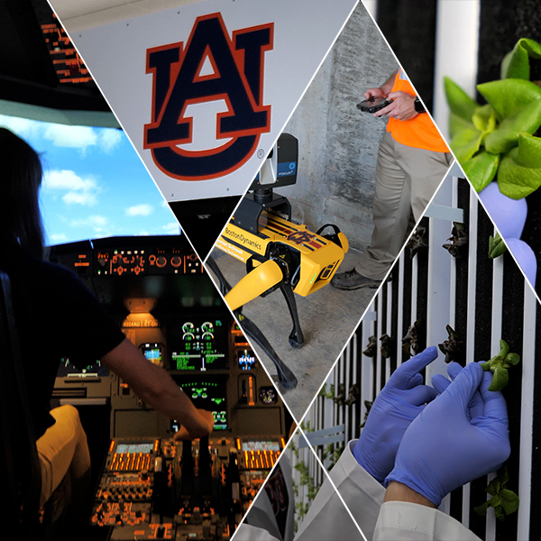 A collage of Auburn's 2021 PSA elements.