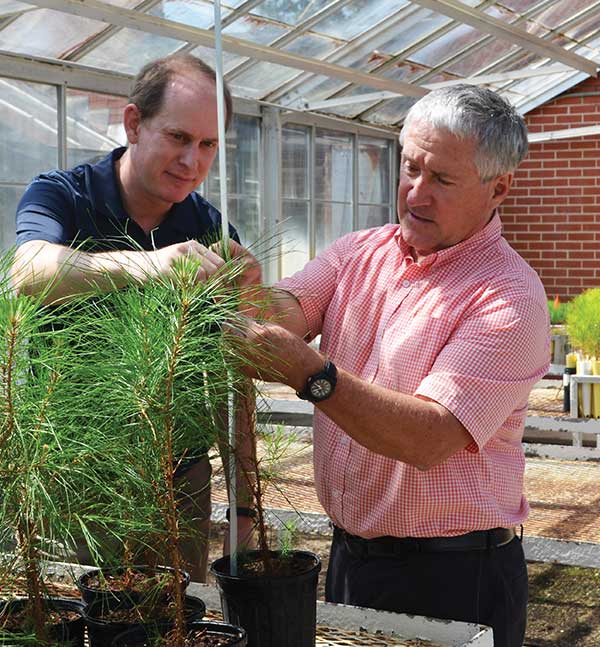 Two men examine a plant